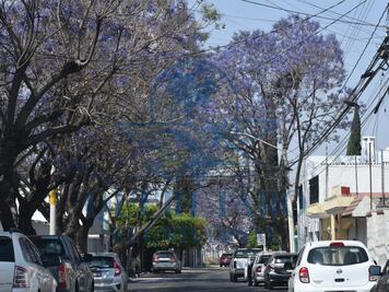 Municipio de Querétaro incorporará 100 nuevas hectáreas al FIQMA para fortalecer la protección ambiental
