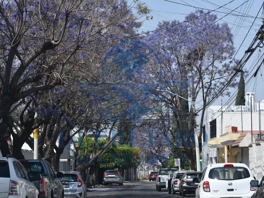 FOTO. ÁNGEL GONZÁLEZ