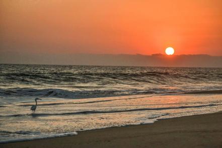 Acapulco, el puerto quiere ir más allá de las playas y las discotecas 