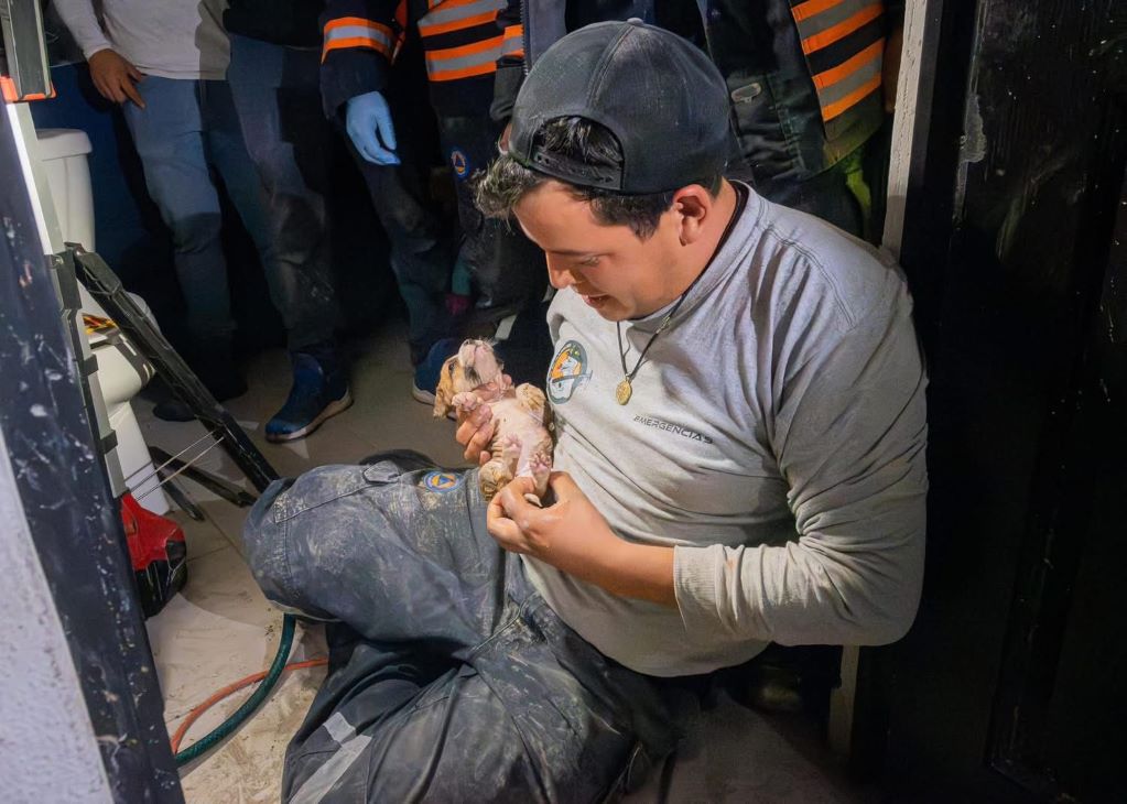 Elementos de Protección Civil El Marqués trabajaron durante siete horas continuas para liberar a la perrita. Foto: Especial