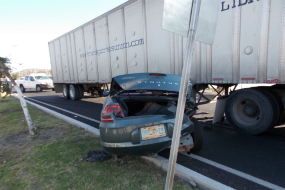 Perro ocasiona accidente