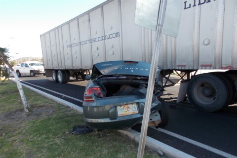 Perro ocasiona accidente