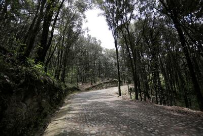 Gobernador entrega camino que lleva a la Laguna de Servín 