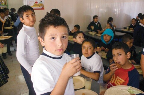 Darán desayunos más nutritivos