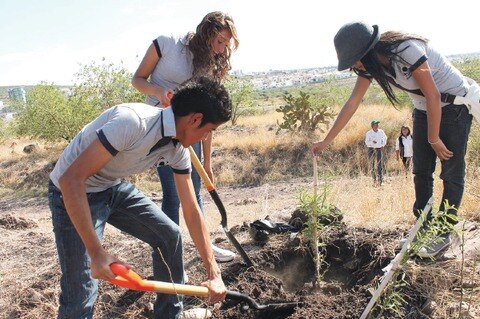 Invierten 108.6 mdp al ambiente   en 2013