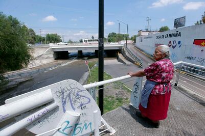 Mantienen especies con cuidado del río