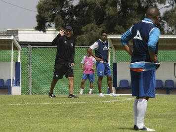 Gallos completos, a la playa