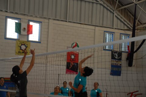 “Divergentes” se coronan en voleibol  