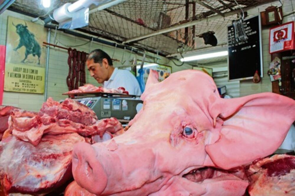 Porcicultores reportan pérdidas por 50 mdp