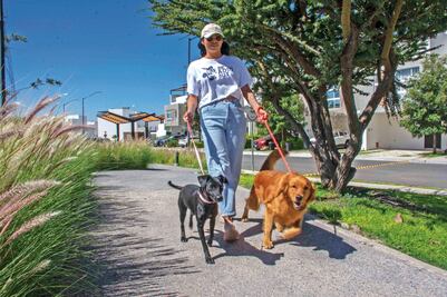 Janet paga su carrera universitaria paseando lomitos