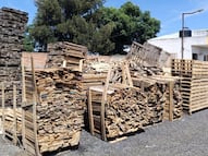 Profepa clausura dos centros de tratamiento de madera en Querétaro