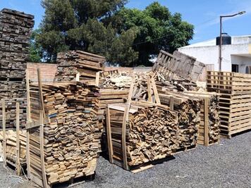 Profepa clausura dos centros de tratamiento de madera en Querétaro