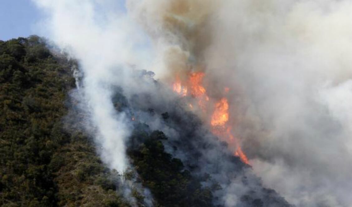 FOTO: Archivo El Universal