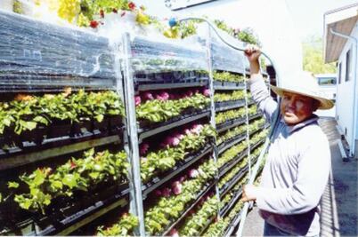 Asesoran a migrantes queretanos con taller