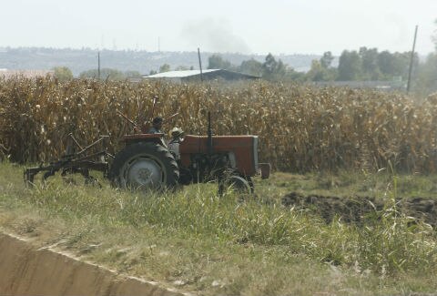 Alertan de falsos financiamientos
