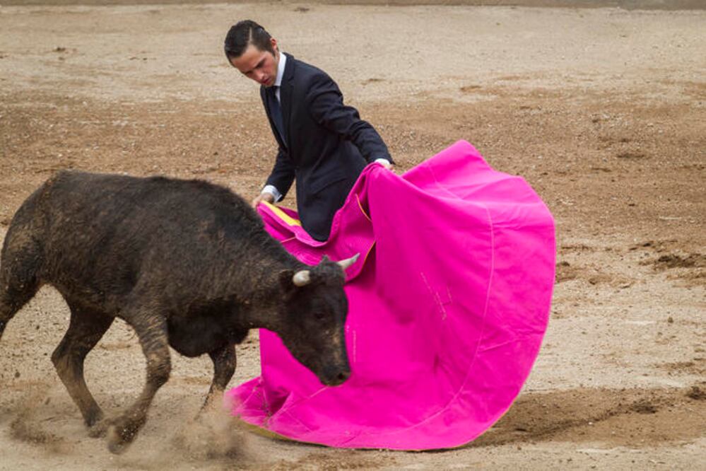 Foto: Demian Chávez