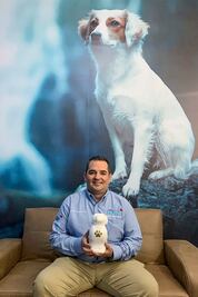 Una despedida digna para las mascotas