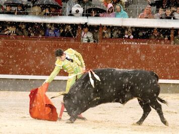 Silveti finaliza el año con 37 corridas