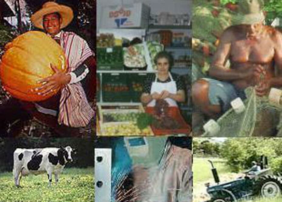 Reforma laboral en contra de PyMes