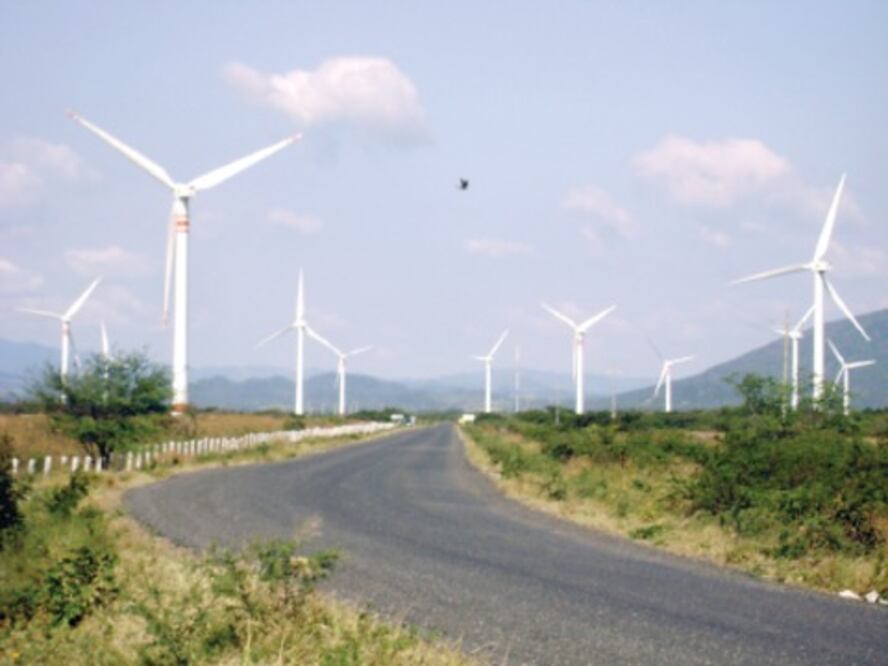 Tecnología aumenta la eficiencia