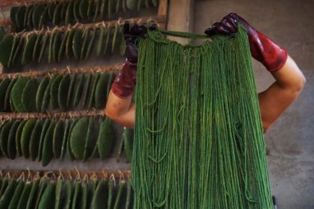 “No quería ser un artesano más”: Porfirio Gutiérrez