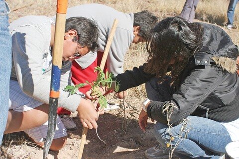 Impulsa Jalpan proyectos de jóvenes