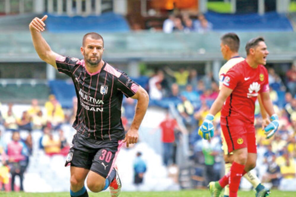 Mantiene vivos a sus Gallos