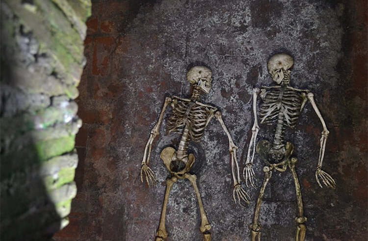Foto: La Zacatecana, Casa Museo.