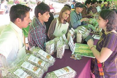 Impulsan hasta 700 proyectos incubados