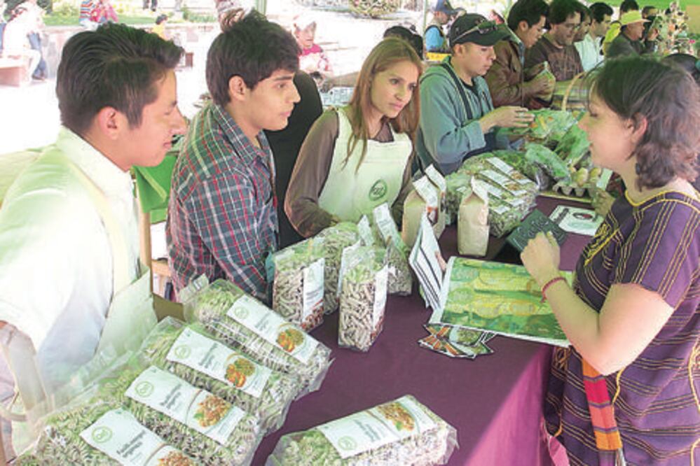 Impulsan hasta 700 proyectos incubados