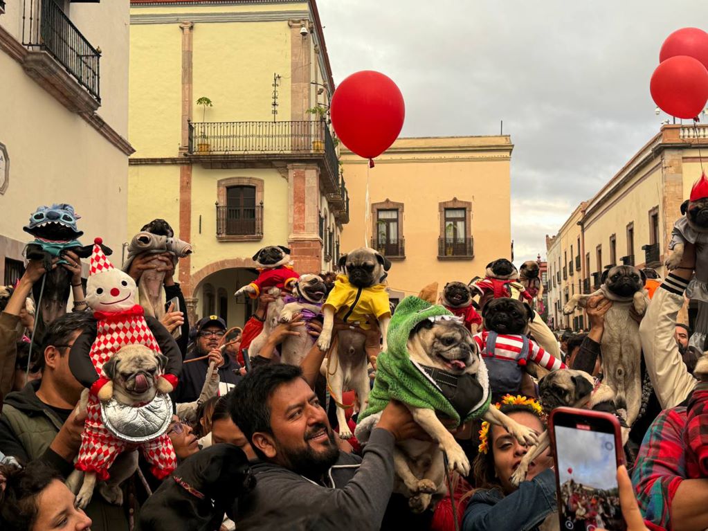Encuentro Pugmaníaco 2024: Caminata para gozar con la familia y los chatitos