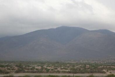 Disminuyen incendios forestales