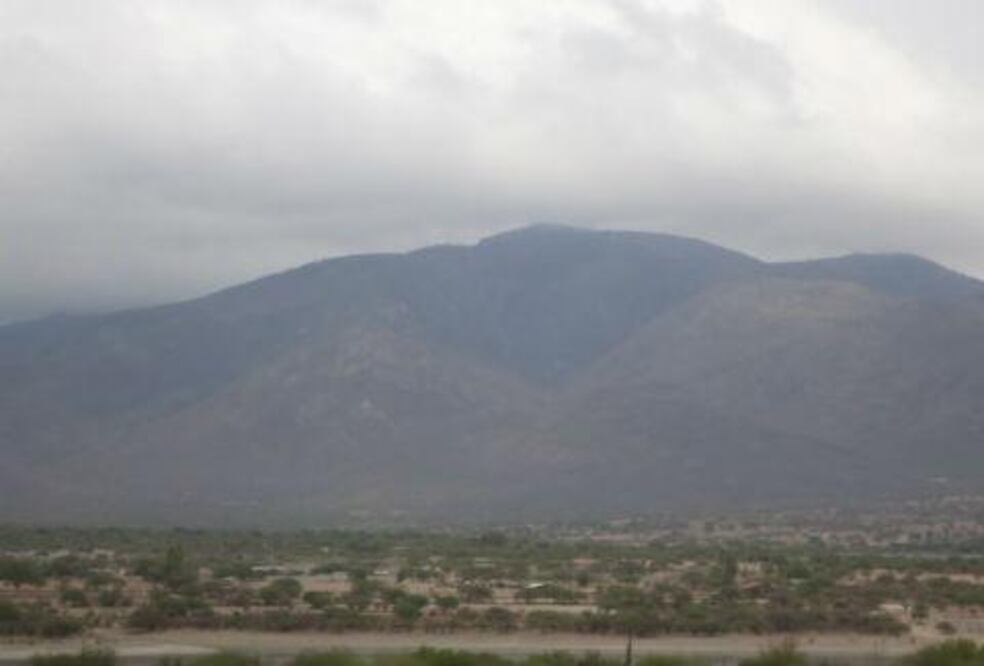 Disminuyen incendios forestales