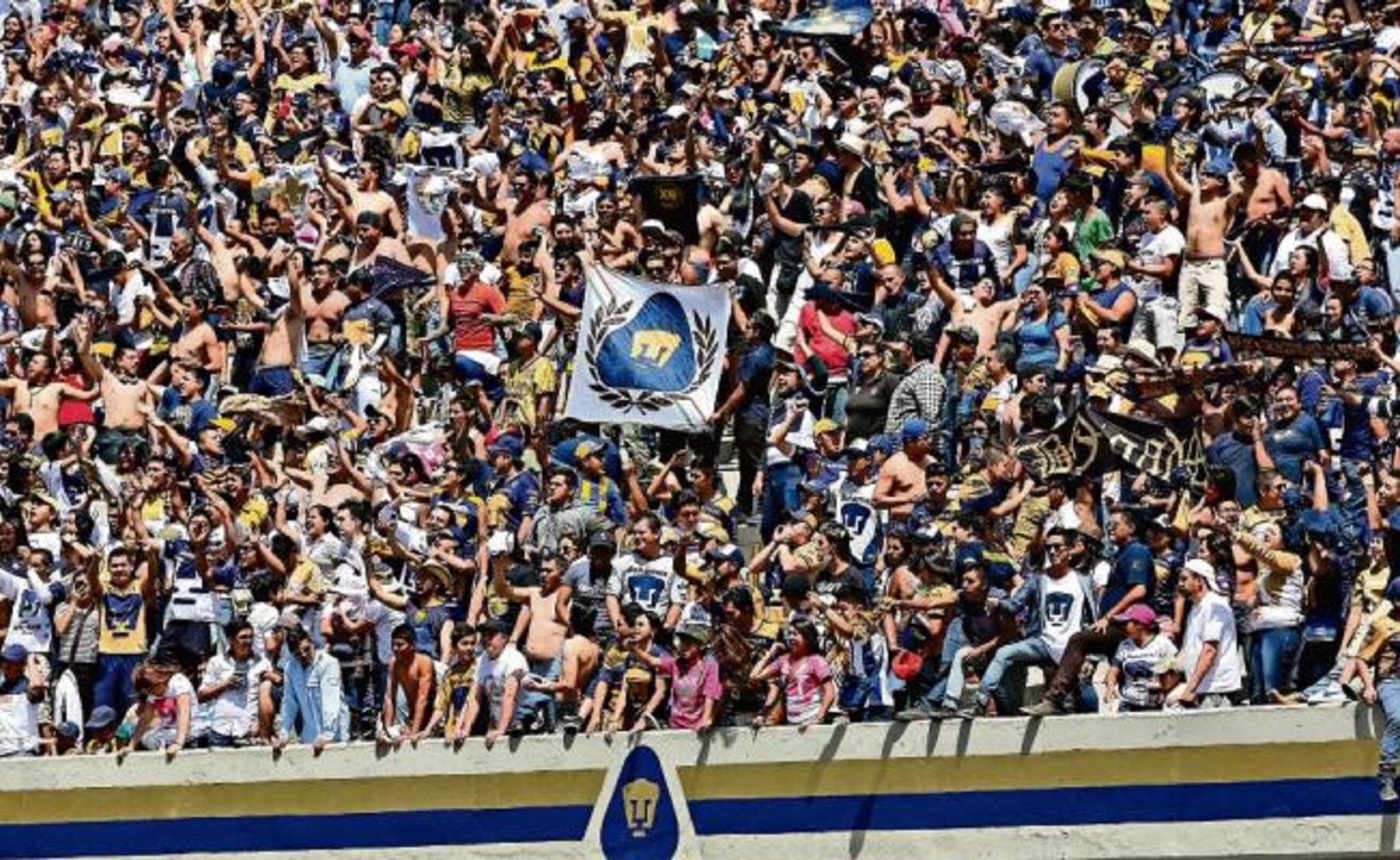 Mitos y realidades de la Rebel, la porra radical de los Pumas