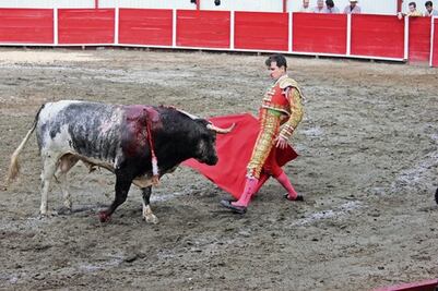 Deteriorado, el coso de SJR 