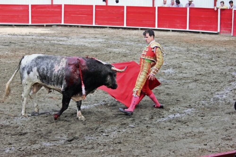 Deteriorado, el coso de SJR 