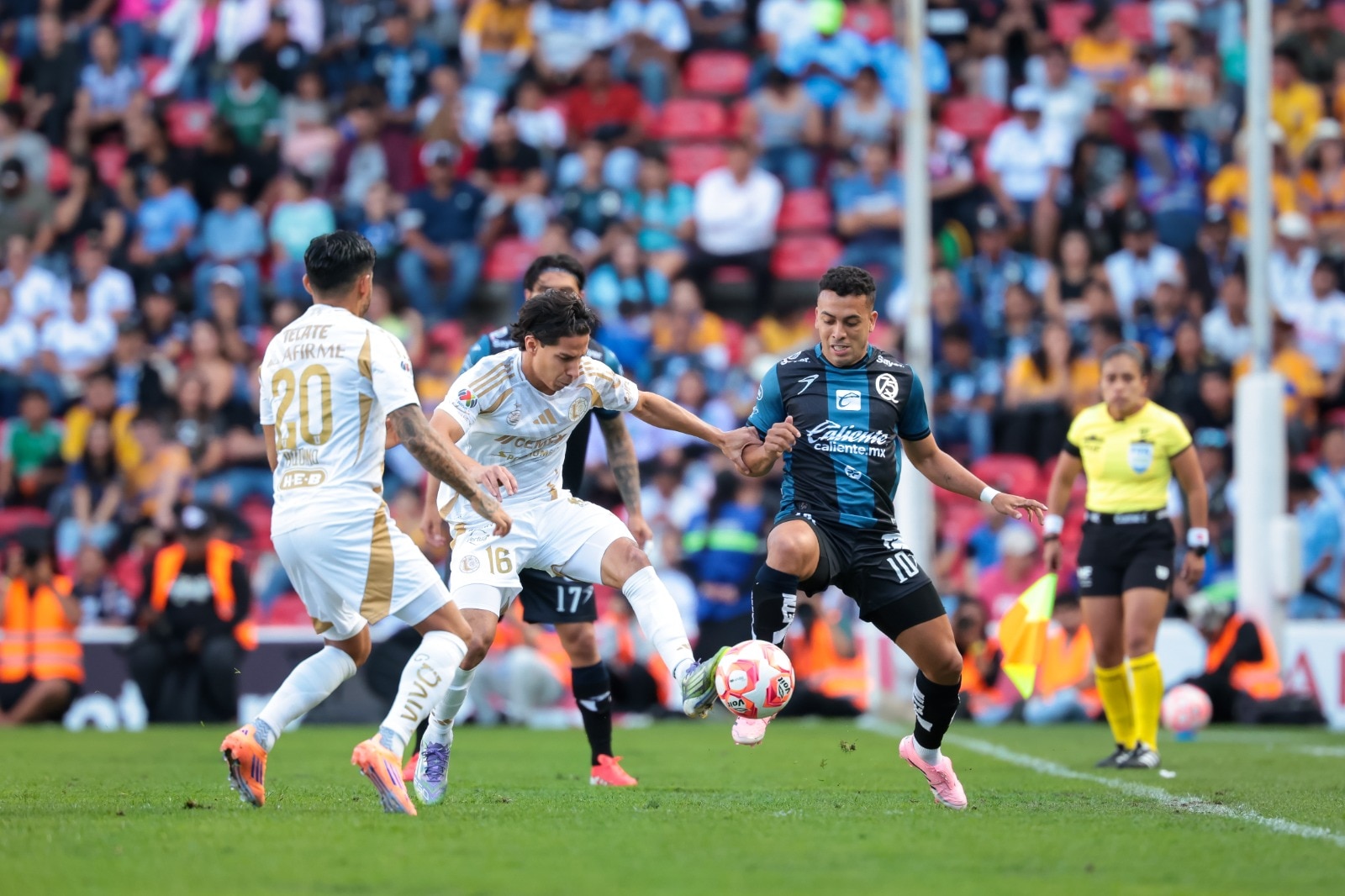 Los Tigres derrotan a los Gallos, en el estadio Corregidora