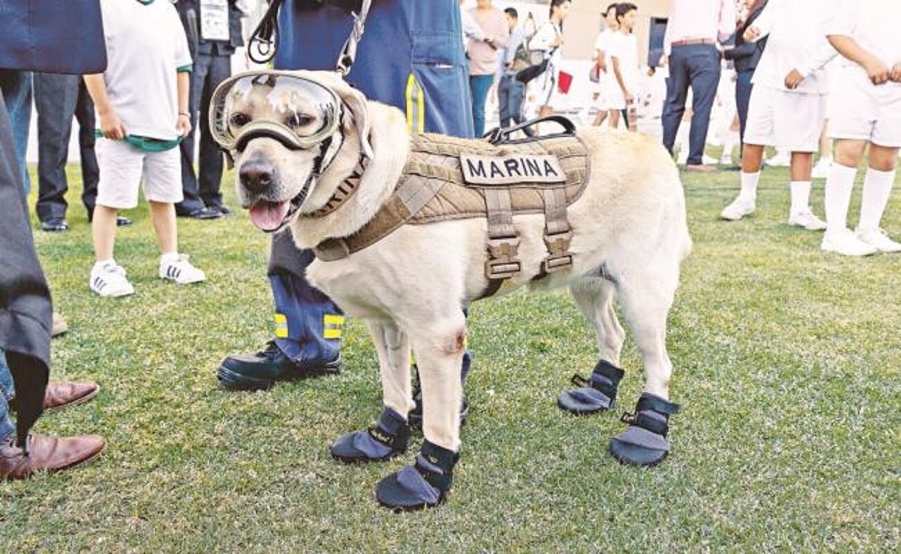 Foto: Archivo. EL UNIVERSAL