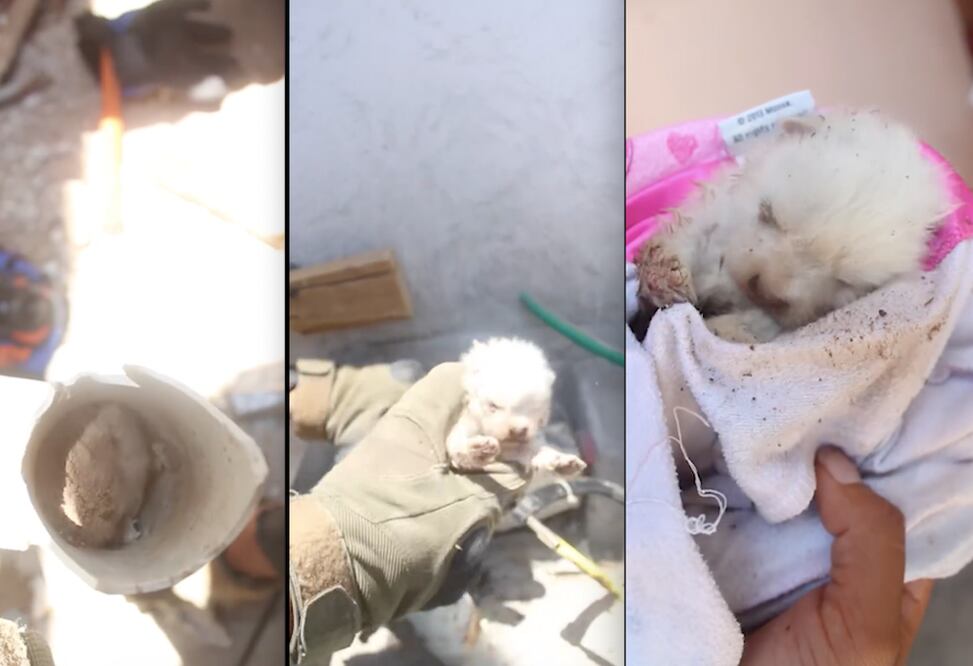 Foto: Facebook Servicios Públicos Municipales de Querétaro