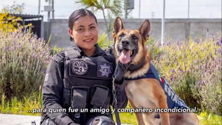 ¡Toretto!, ¡presente!; ¡Toretto!, ¡presente!