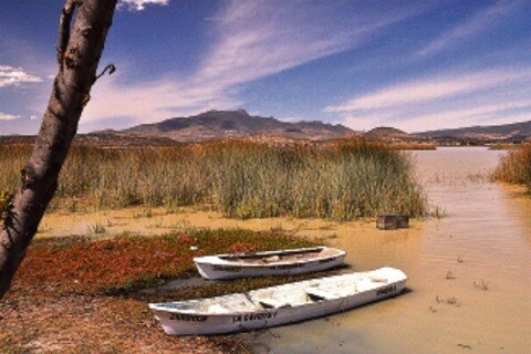 Un viaje por la laguna