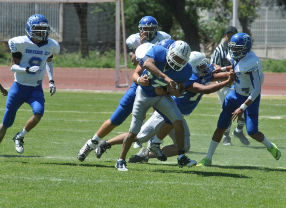 Barren Gatos Salvajes en su debut