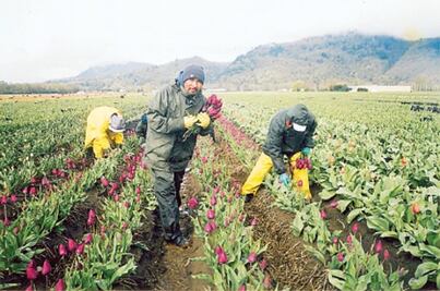 Buscan servicios de salud para queretanos 