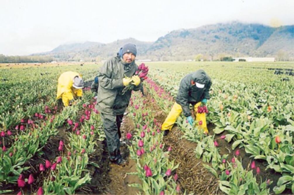 Buscan servicios de salud para queretanos 