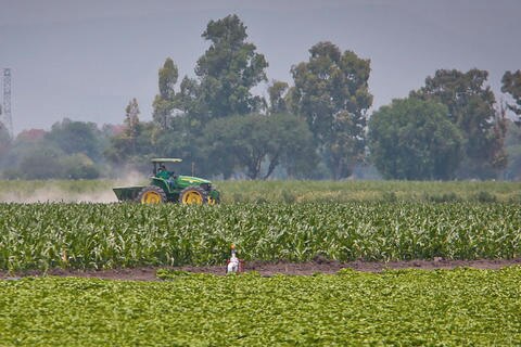 Peligra zona agrícola por urbanización 