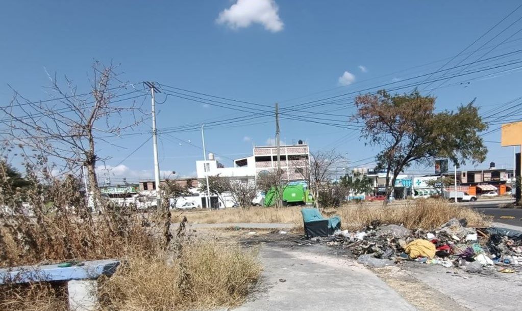 Basura y maleza ahogan a la colonia Real de la Loma