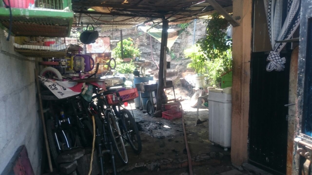 Ataque de abejas deja una mujer lesionada