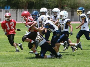 Objetivos claros para Gatos Salvajes 