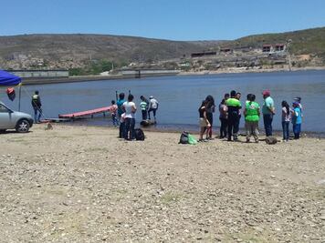 Celebran 12 mil visitantes Sábado de Gloria en Colón