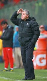 Gallos, un conjunto fortalecido